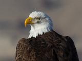 E Lower Klamath NWR 010